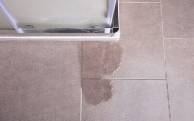 Water Pooling Outside Your Shower Door? 4 Common Waterproofing & Glass Seal Failures
